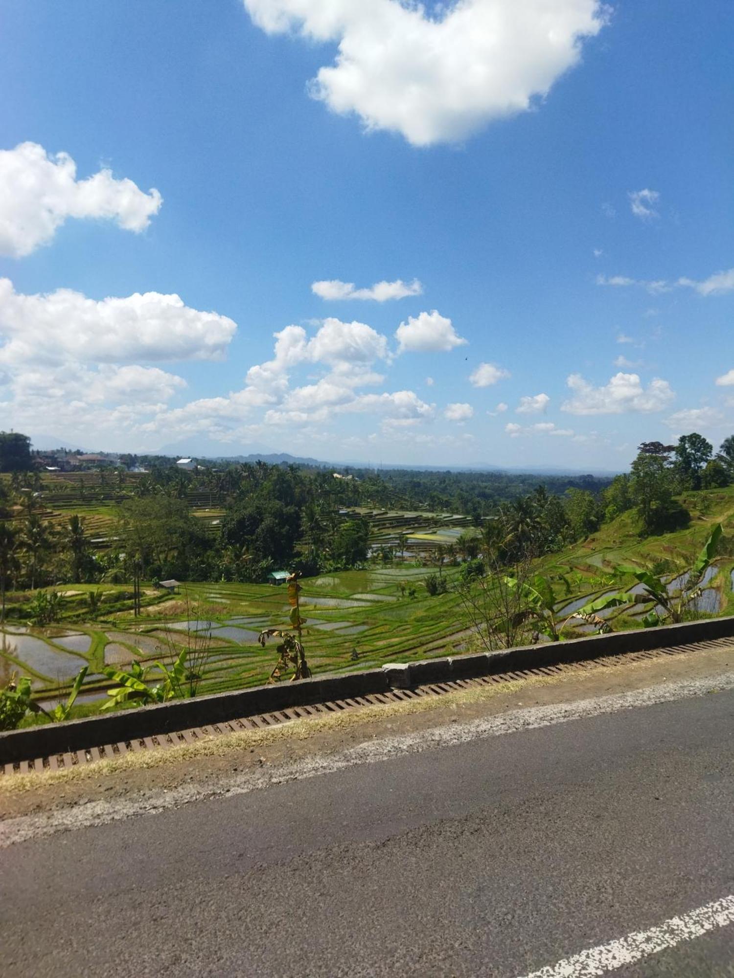 Wahwik'S House Hotel Ubud  Luaran gambar