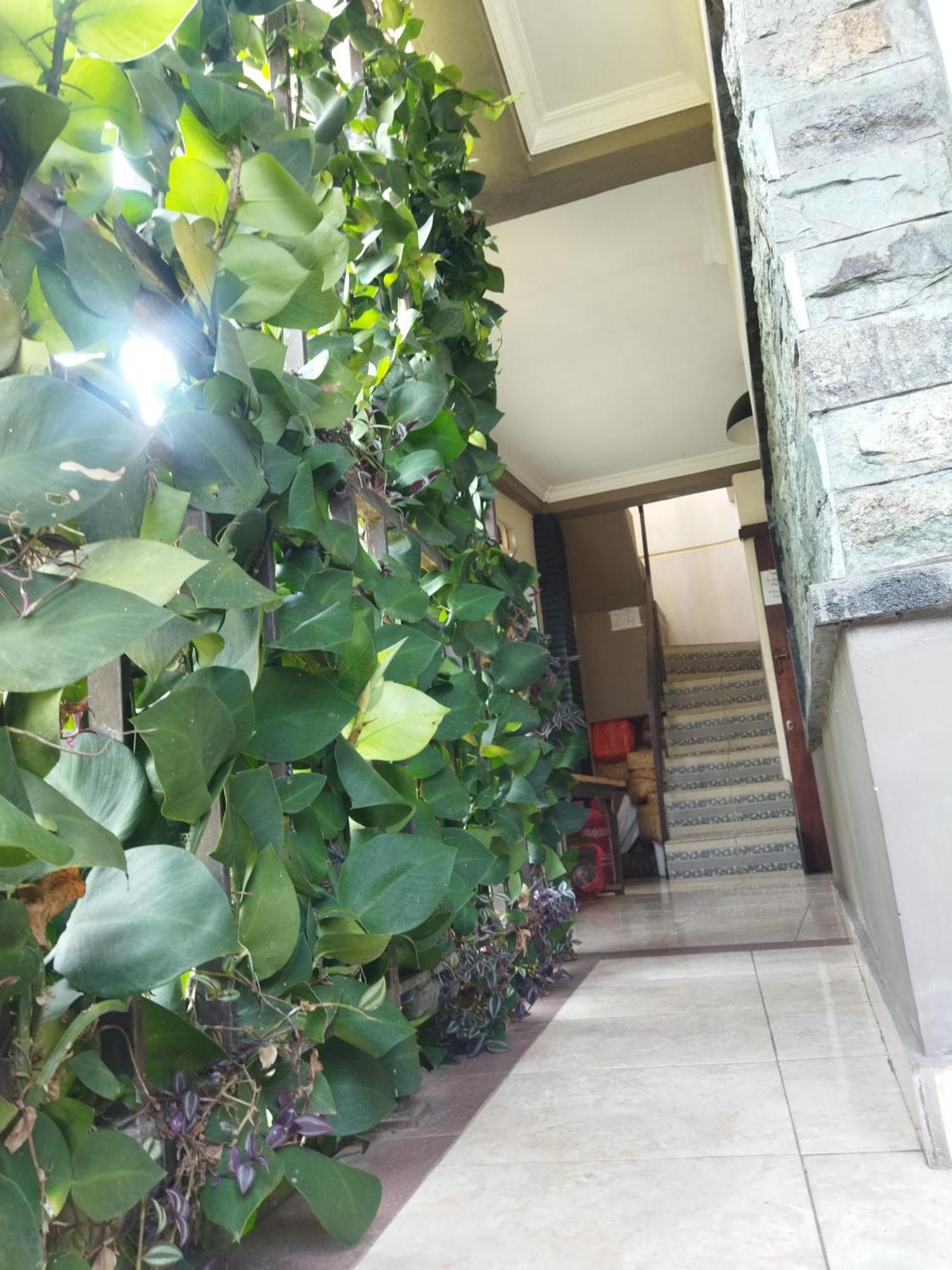 Wahwik'S House Hotel Ubud  Luaran gambar
