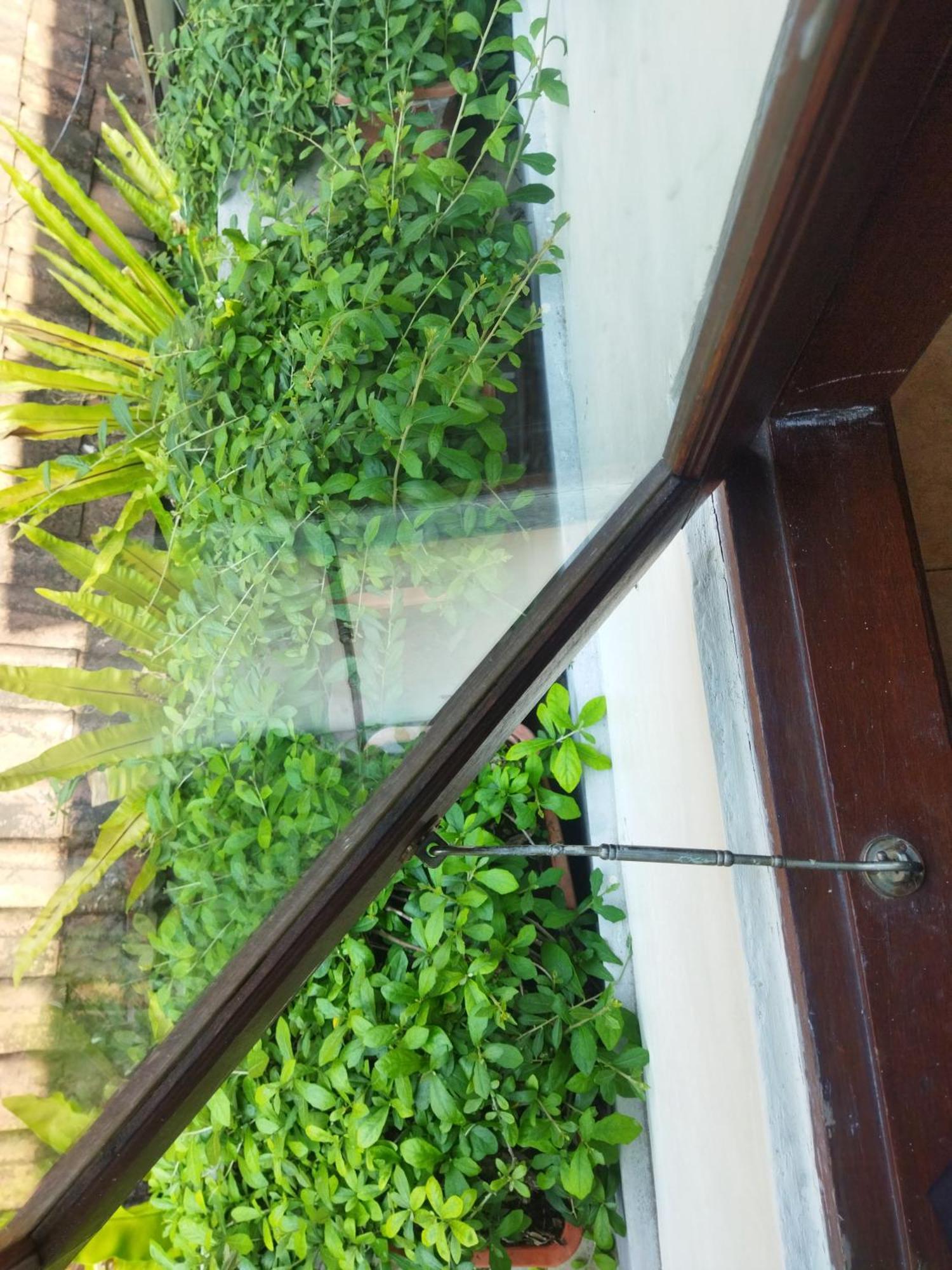 Wahwik'S House Hotel Ubud  Luaran gambar