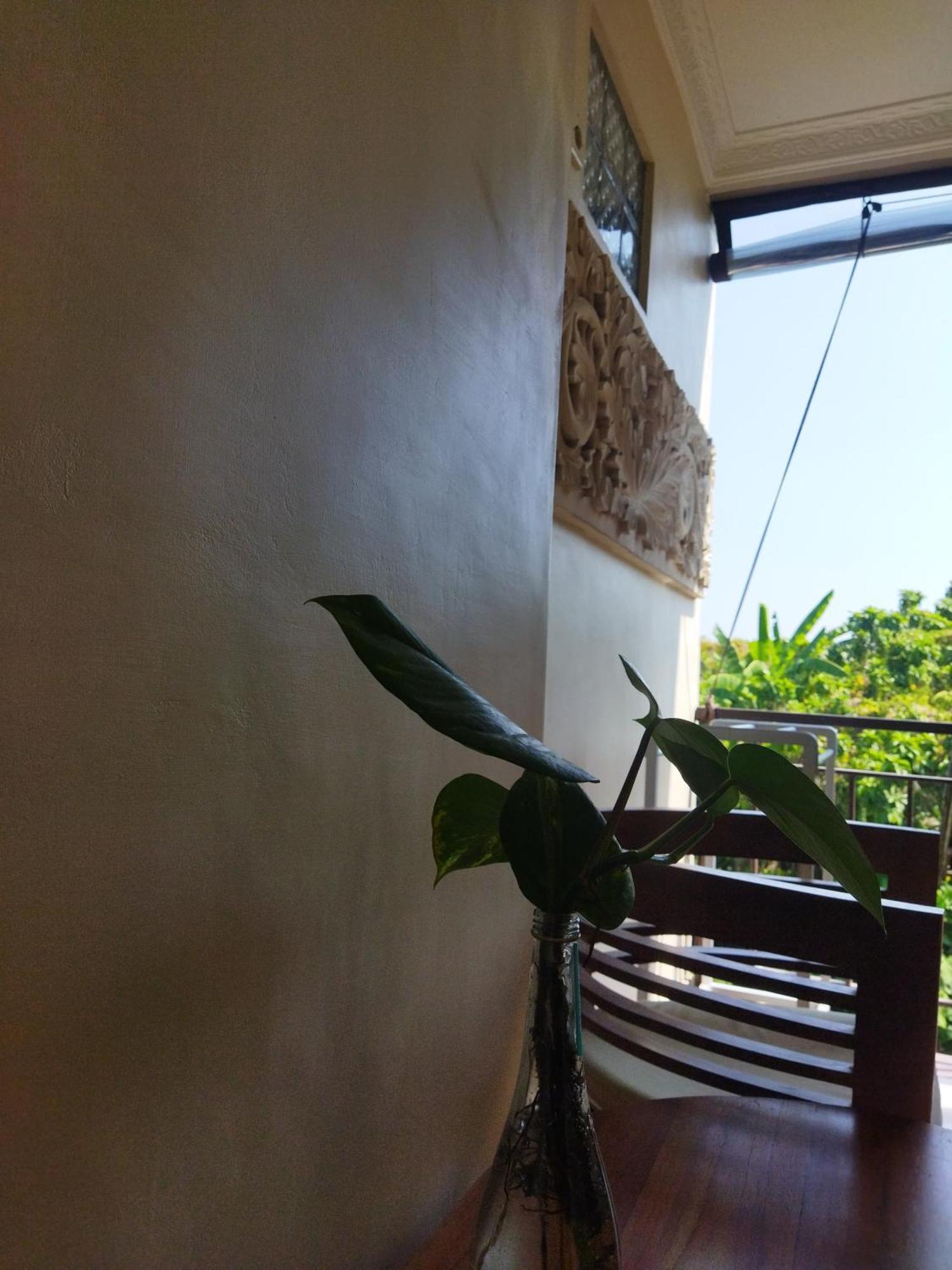 Wahwik'S House Hotel Ubud  Luaran gambar