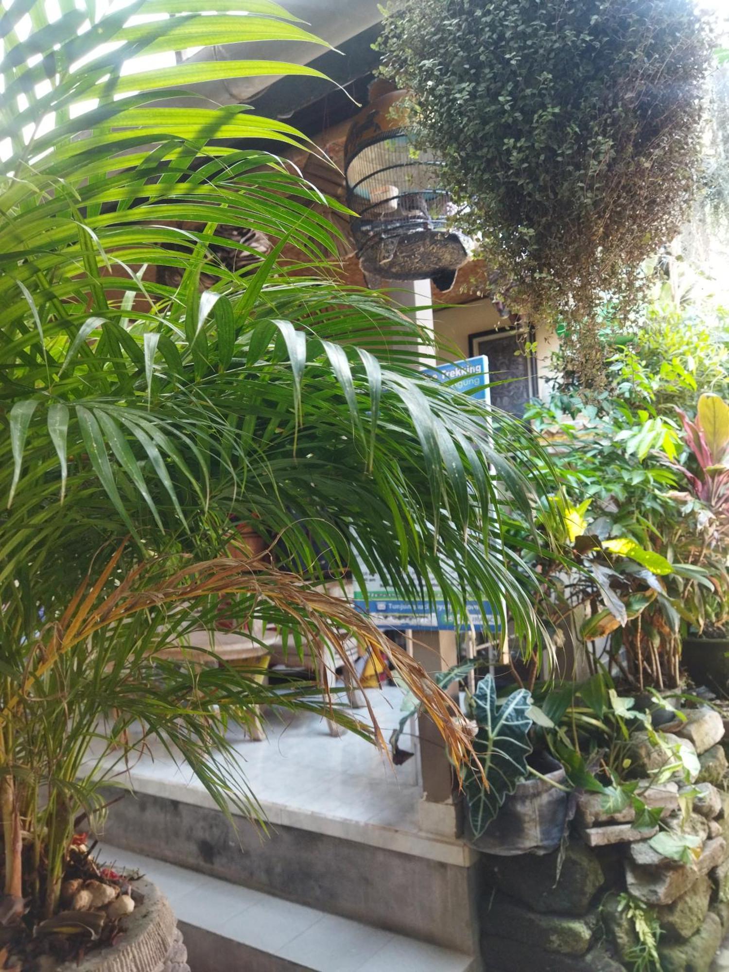 Wahwik'S House Hotel Ubud  Luaran gambar