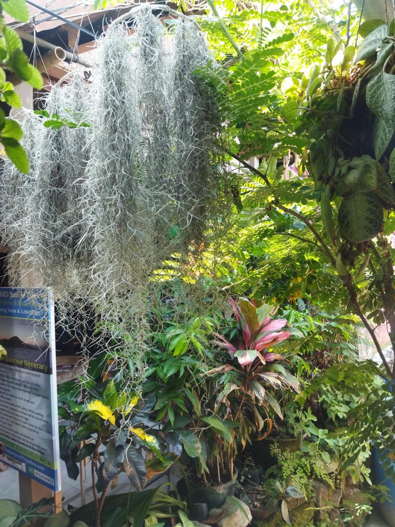 Wahwik'S House Hotel Ubud  Luaran gambar