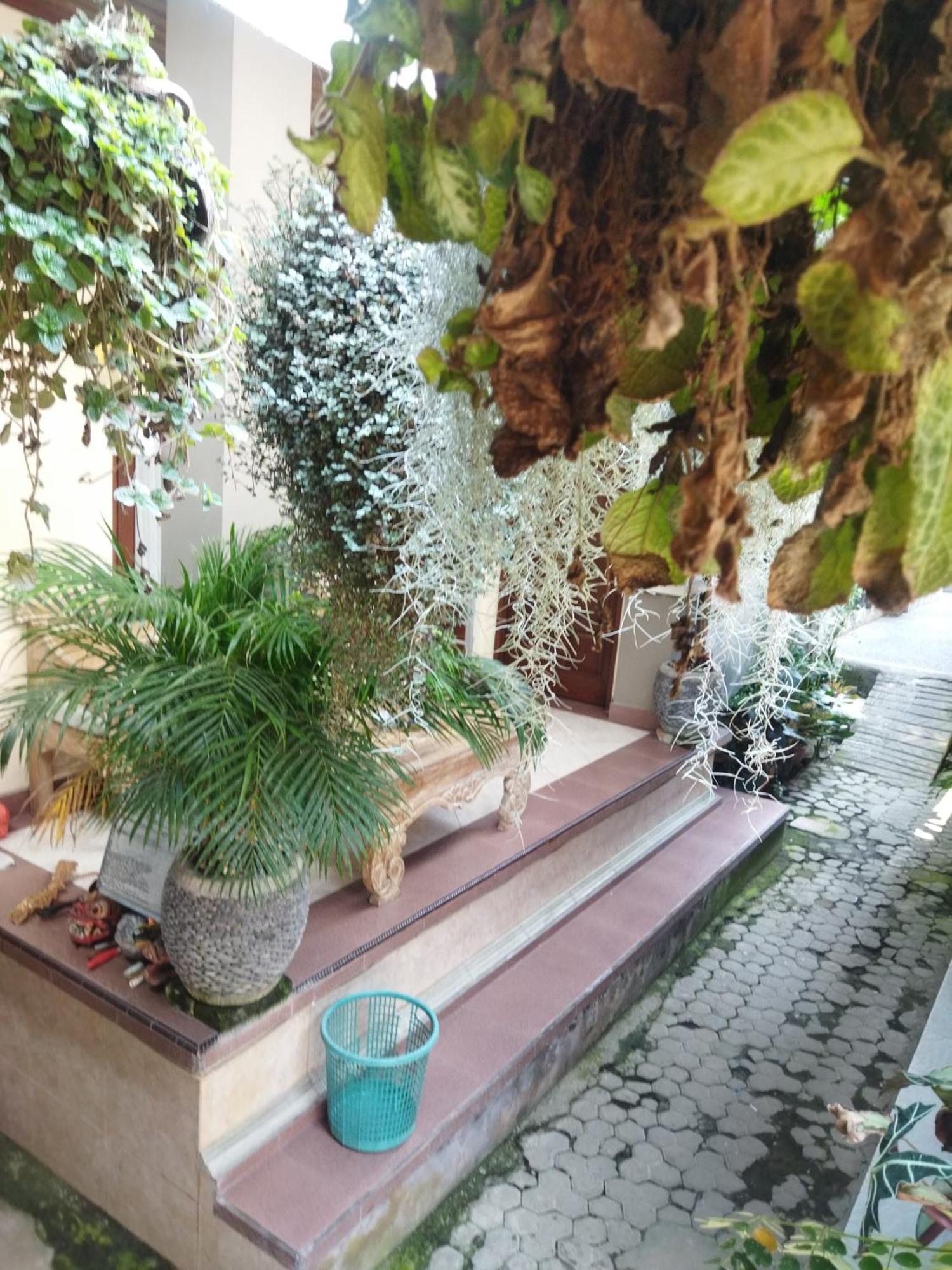 Wahwik'S House Hotel Ubud  Luaran gambar