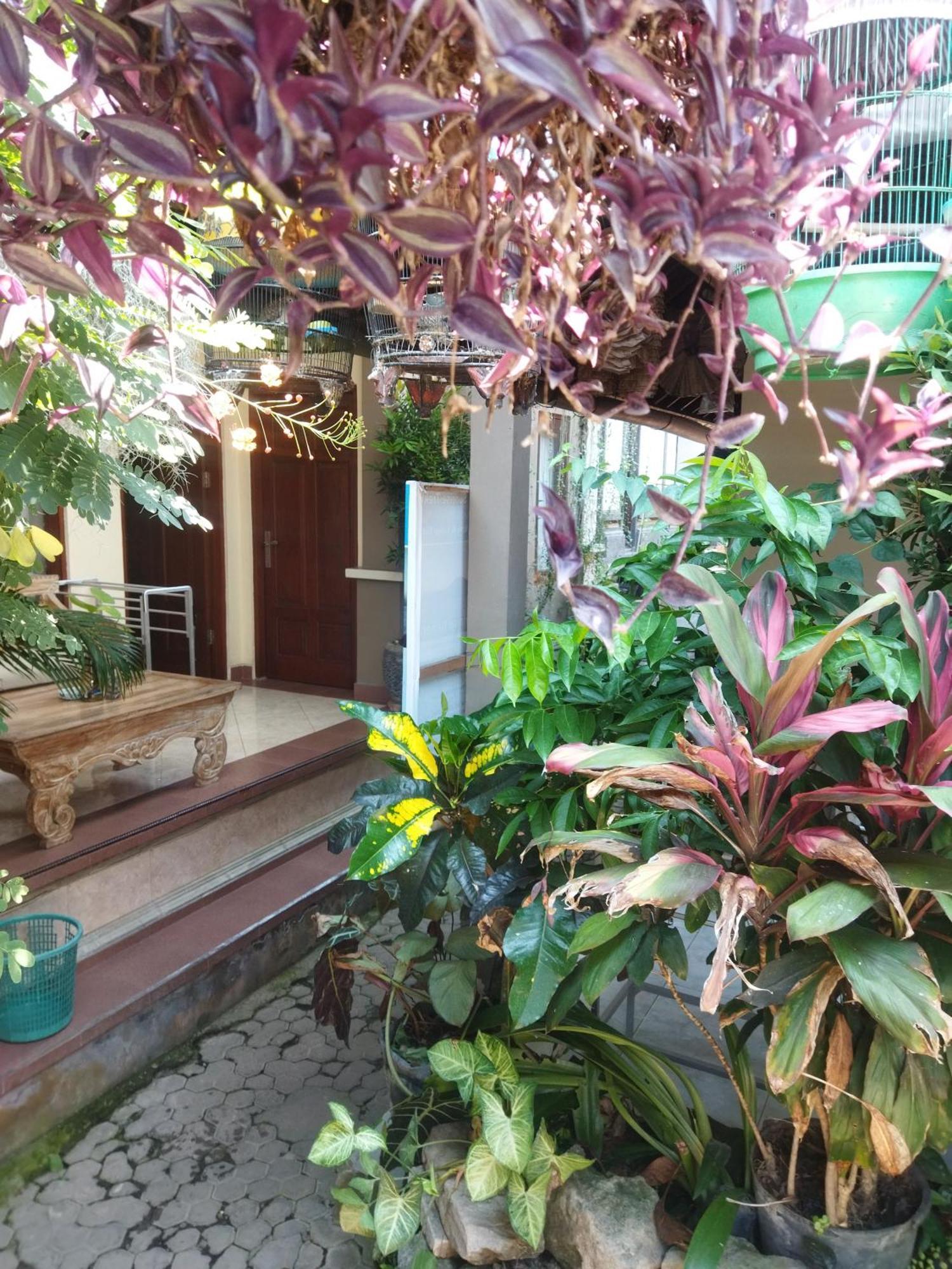 Wahwik'S House Hotel Ubud  Luaran gambar